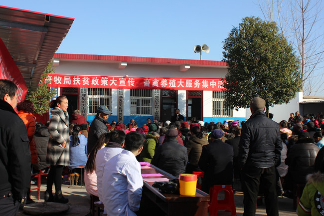 照片 053_看图王_副本.jpg