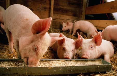 �����ؾ�����ι���������������