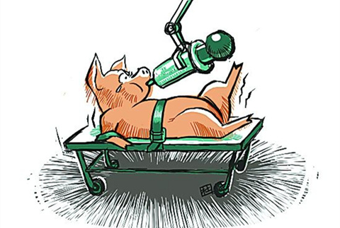 ΪʲôҪ���������Ӽ�����ҩ����ô�ã���ר����ô˵